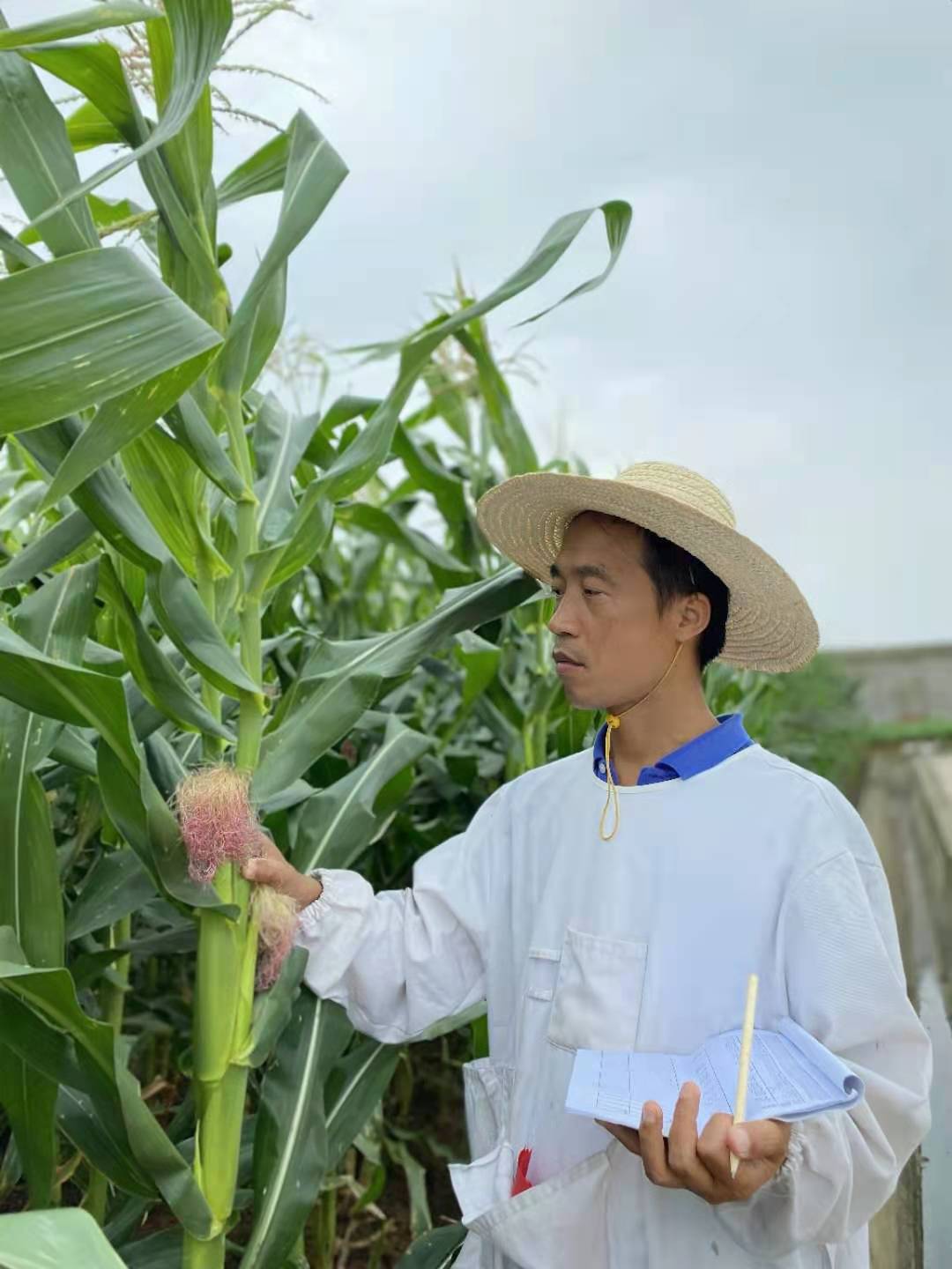 博士照片 博士照片