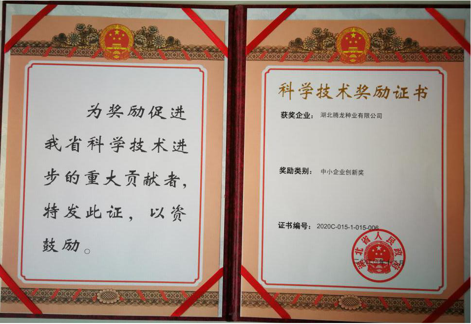 兩個(gè)獎(jiǎng)項(xiàng)