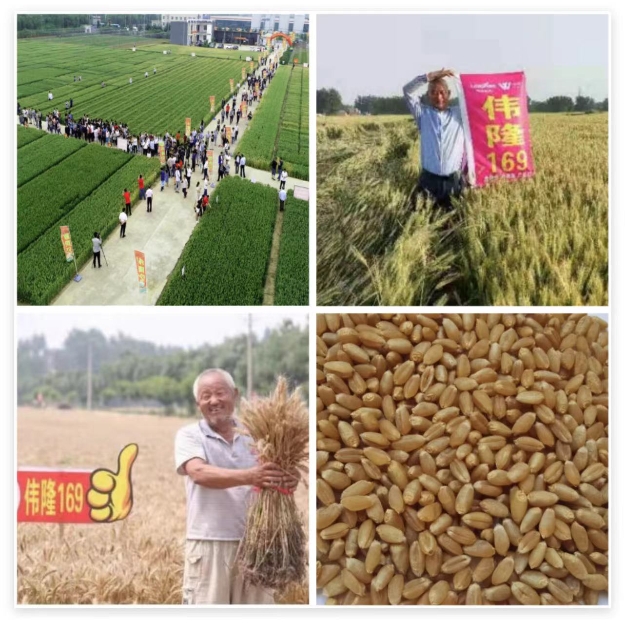 e74536d8780b35c8e31be8e9d0ffb3f e74536d8780b35c8e31be8e9d0ffb3f